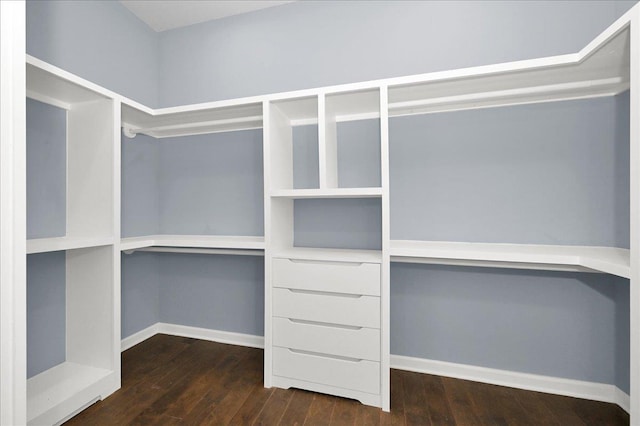 spacious closet featuring dark hardwood / wood-style flooring