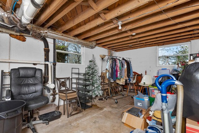 basement with concrete block wall