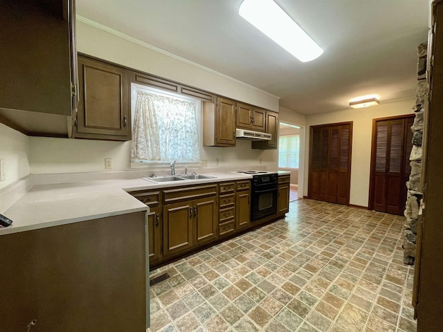  - kitchen with black / electric stove, extractor fan, light countertops, and ornamental molding
