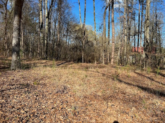 Listing photo 2 for LOT11 Barnett Rd, Rogersville AL