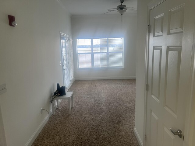  - unfurnished room with carpet floors and a ceiling fan