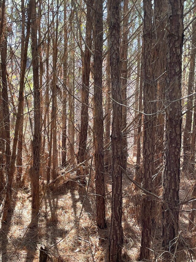  - photo 29