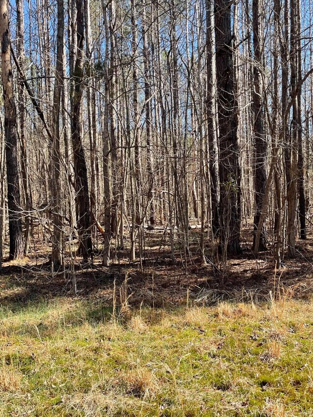  - photo 26