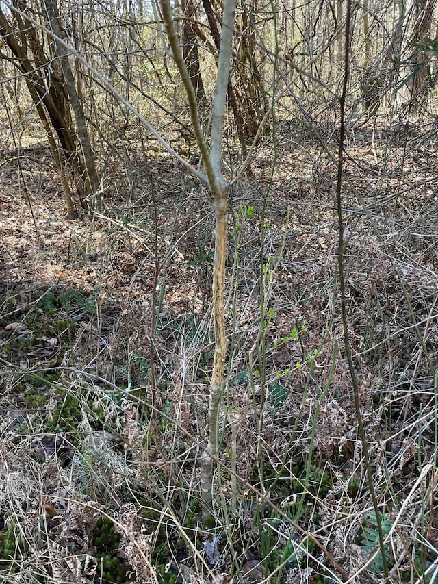  - photo 14