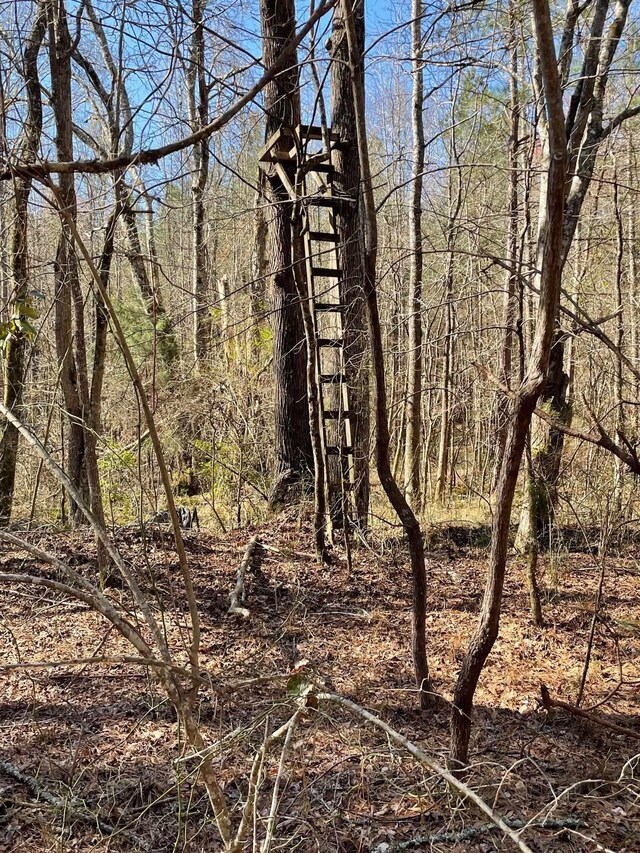  - photo 17