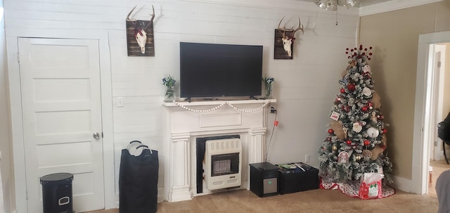 living room featuring heating unit