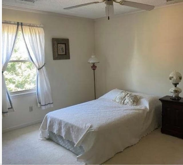 carpeted bedroom with ceiling fan, a textured ceiling, and multiple windows