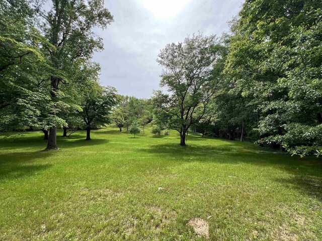  - photo 13