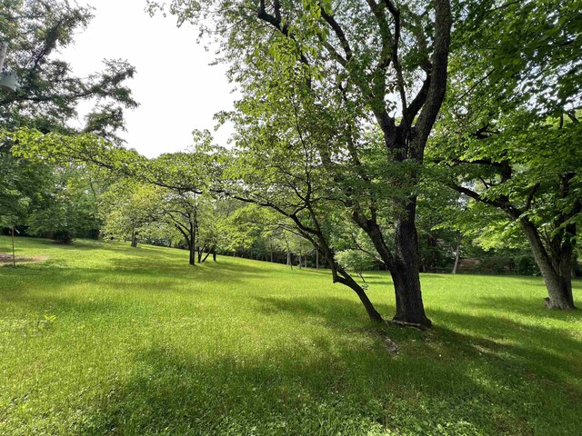  - photo 17