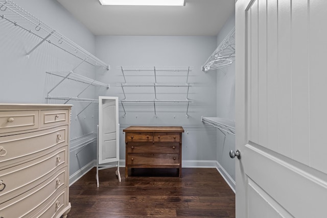 spacious closet featuring dark hardwood / wood-style flooring