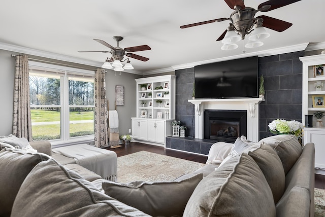 living room featuring dark hardwood / wood-style flooring, ceiling fan, a fireplace, and crown molding