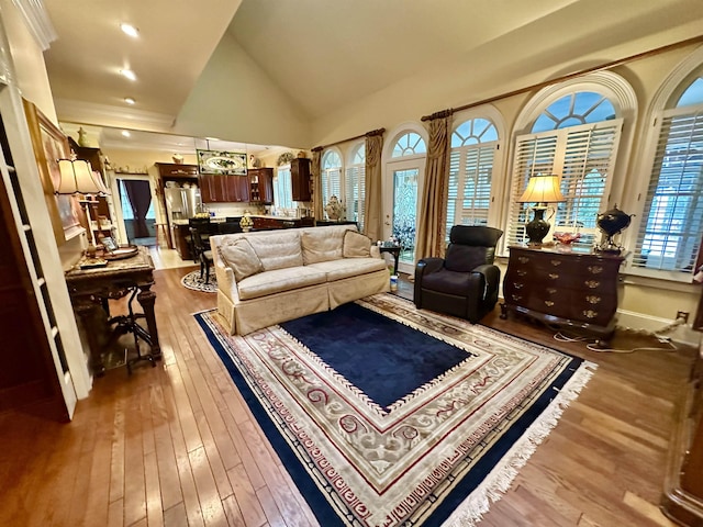 living room with dark hardwood / wood-style floors and high vaulted ceiling