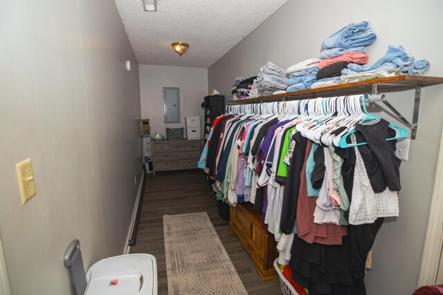  - photo 21