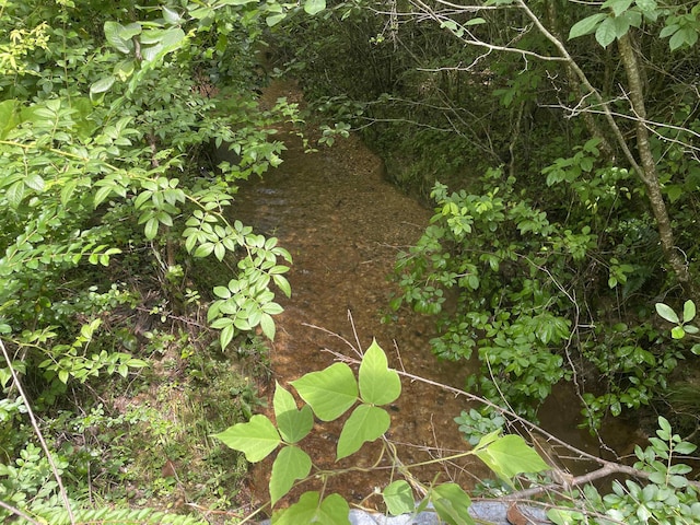  - photo 6