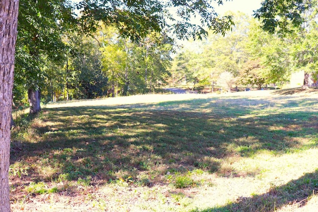 0 5th Avenue Lots 10,11,12&1, Cullman AL land for sale