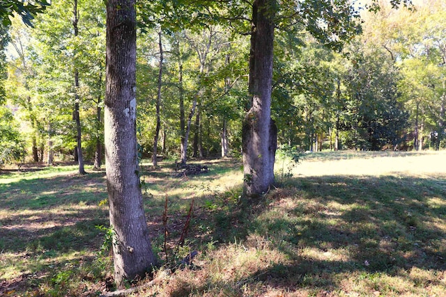 Listing photo 3 for 0 5th Avenue Lots 10,11,12&1, Cullman AL