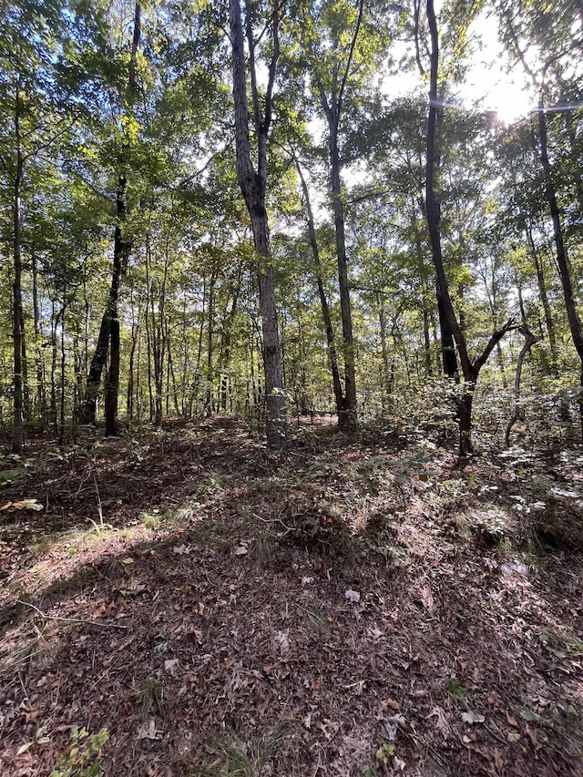 Listing photo 3 for LOT11A/12A White Oak Pl, Arley AL