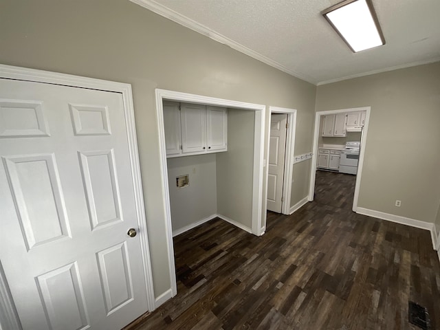 washroom featuring dark wood-type flooring, cabinets, ornamental molding, and a textured ceiling