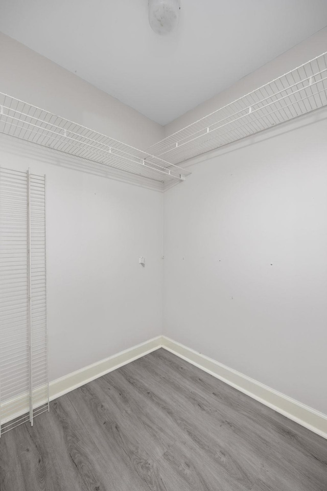 walk in closet featuring dark wood-type flooring