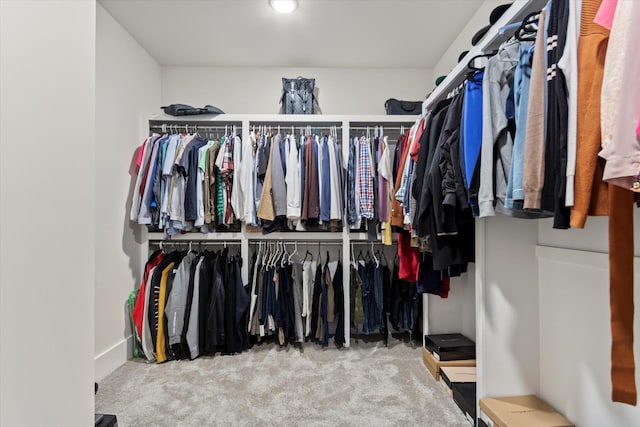  - spacious closet with carpet floors