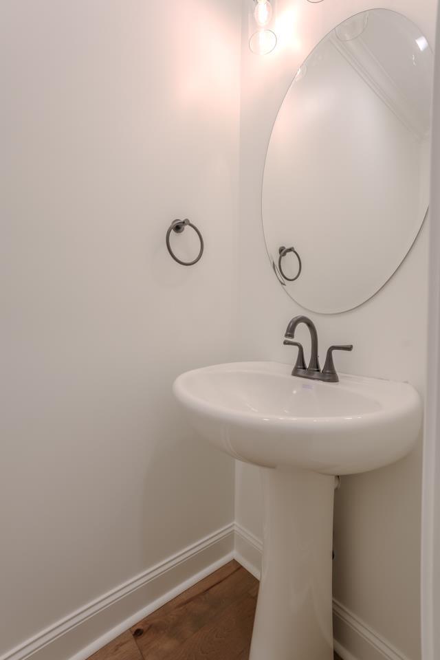 bathroom with wood-type flooring and sink