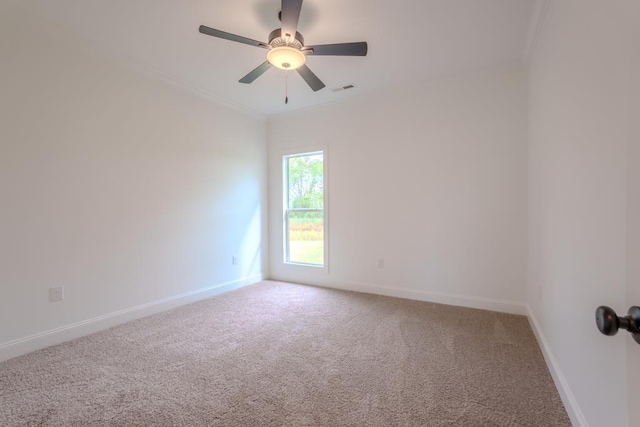 carpeted spare room with ceiling fan and ornamental molding