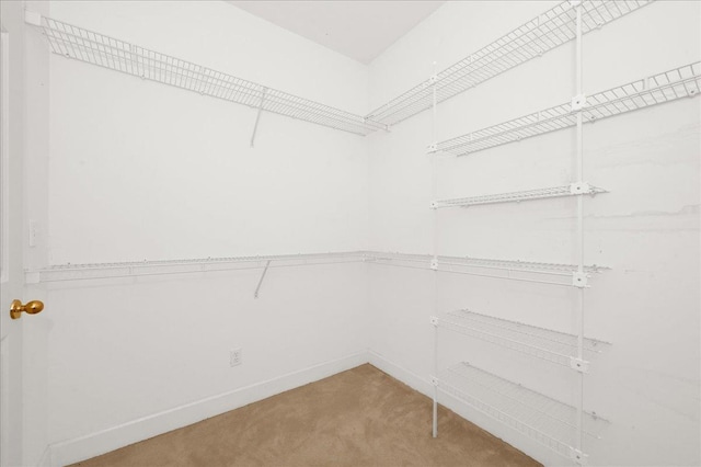  - spacious closet featuring carpet floors