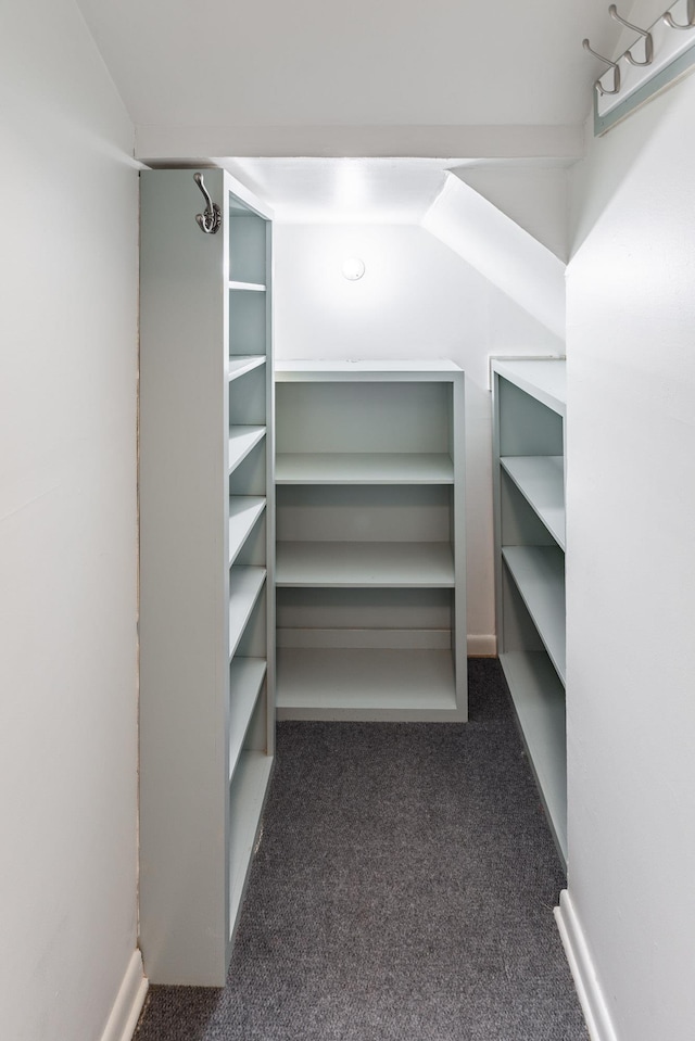 walk in closet featuring dark colored carpet