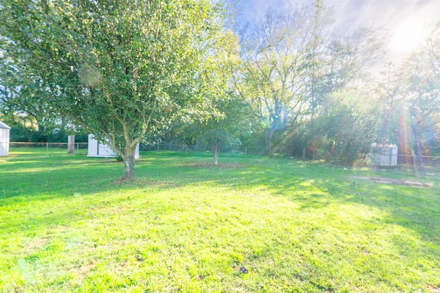 view of yard with a storage shed