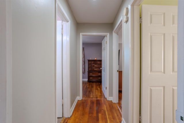 hallway with dark wood-type flooring