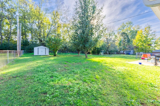 view of yard featuring a patio area and a storage shed