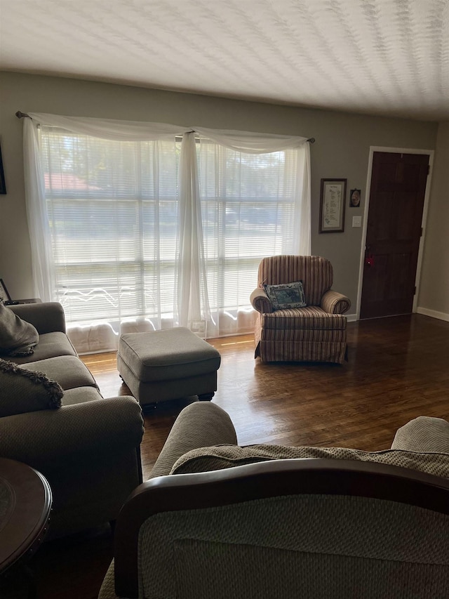 living room with hardwood / wood-style flooring