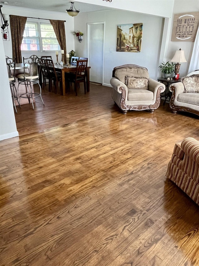 living room featuring hardwood / wood-style floors