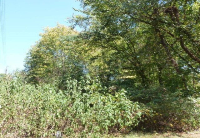  - photo 2