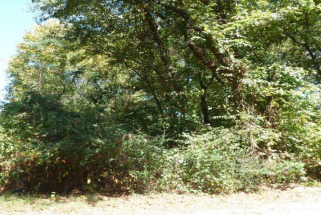  - photo 1