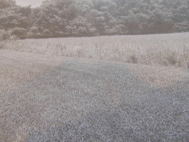  - photo 2
