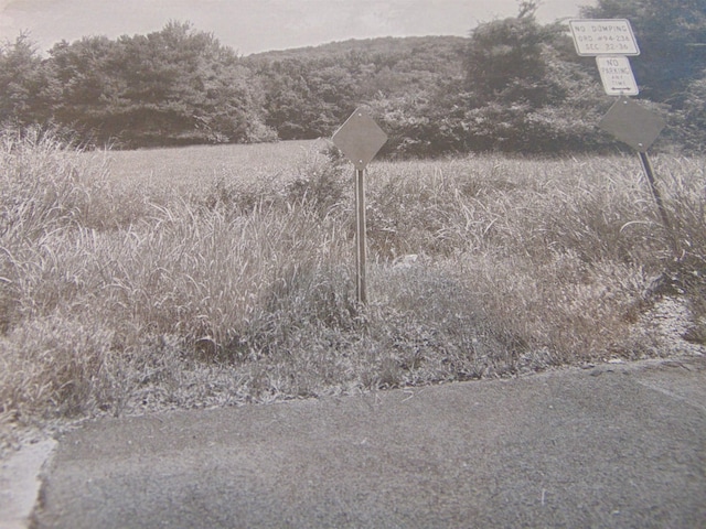  - photo 7