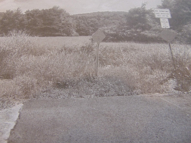  - photo 4