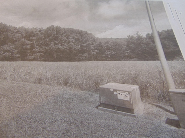  - photo 5