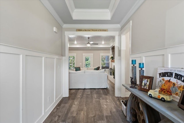 corridor featuring a tray ceiling, crown molding, and dark wood-type flooring