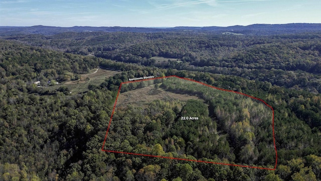 525 Overlook Rd, Blountsville AL land for sale