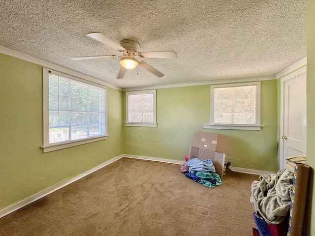  - unfurnished bedroom with crown molding, carpet floors, a ceiling fan, a textured ceiling, and baseboards