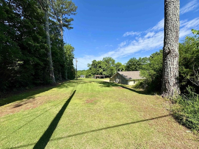  - view of green lawn