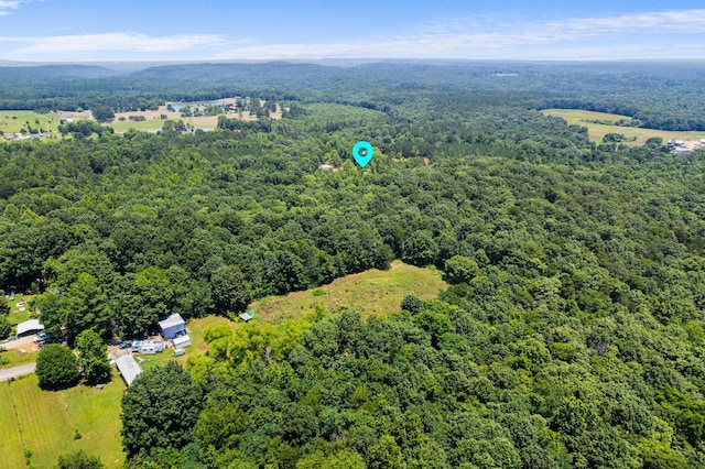 bird's eye view with a view of trees