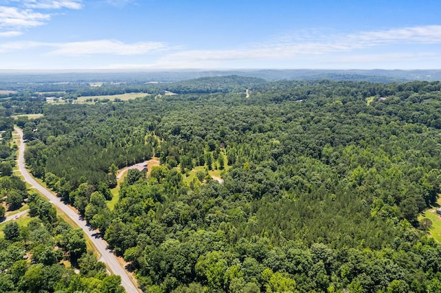 aerial view with a forest view