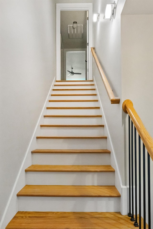  - photo 24