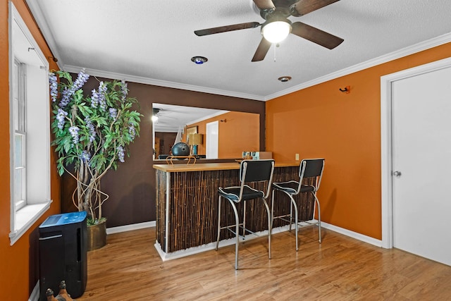  - indoor bar with ceiling fan, wood finished floors, baseboards, crown molding, and a textured ceiling