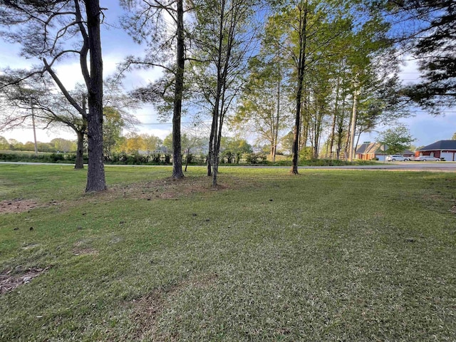 0 14th St, Cullman AL land for sale