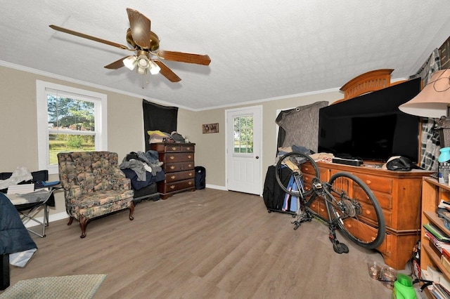 home office with a textured ceiling, light hardwood / wood-style flooring, and ceiling fan