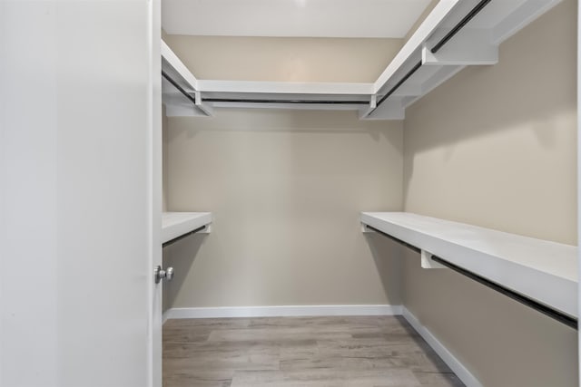 spacious closet with light wood-type flooring